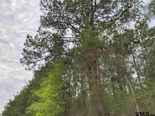 a view of a field with trees in the background