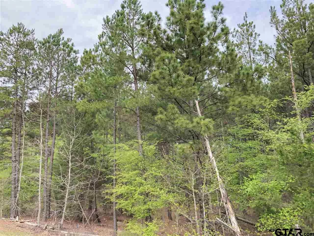 a view of a fountain in front of a house with a big yard