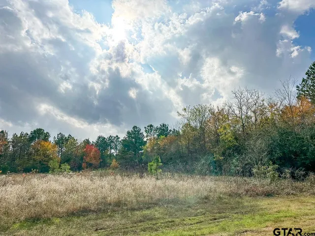 a view of a lake with a yard