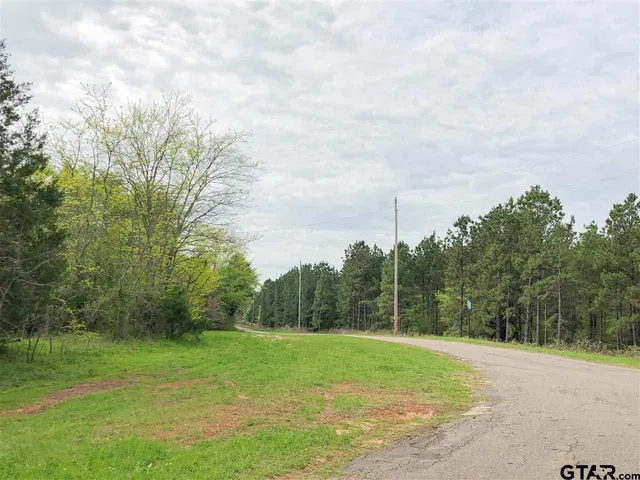 a view of a field with trees in background