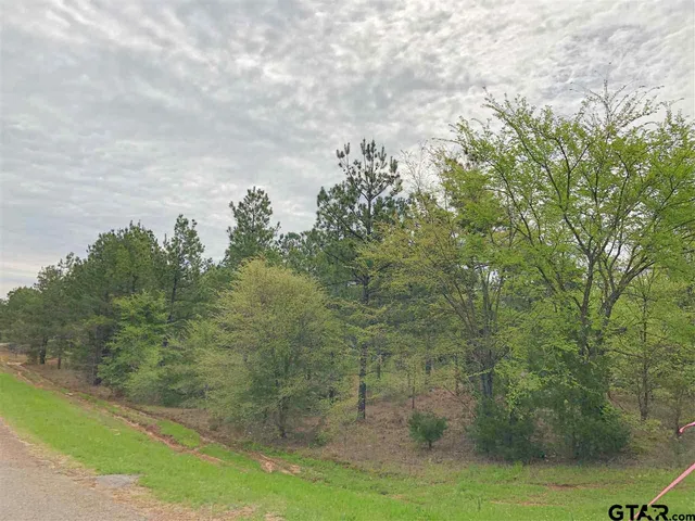 a view of a bathroom with a shower