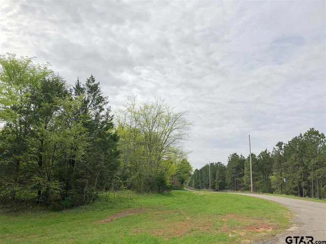 a view of a street with a trees in the background
