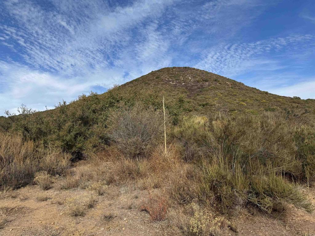 0 Lawson Valley Road Jamul, CA 91935 - Photo 2 of 3 a view of a dry yard