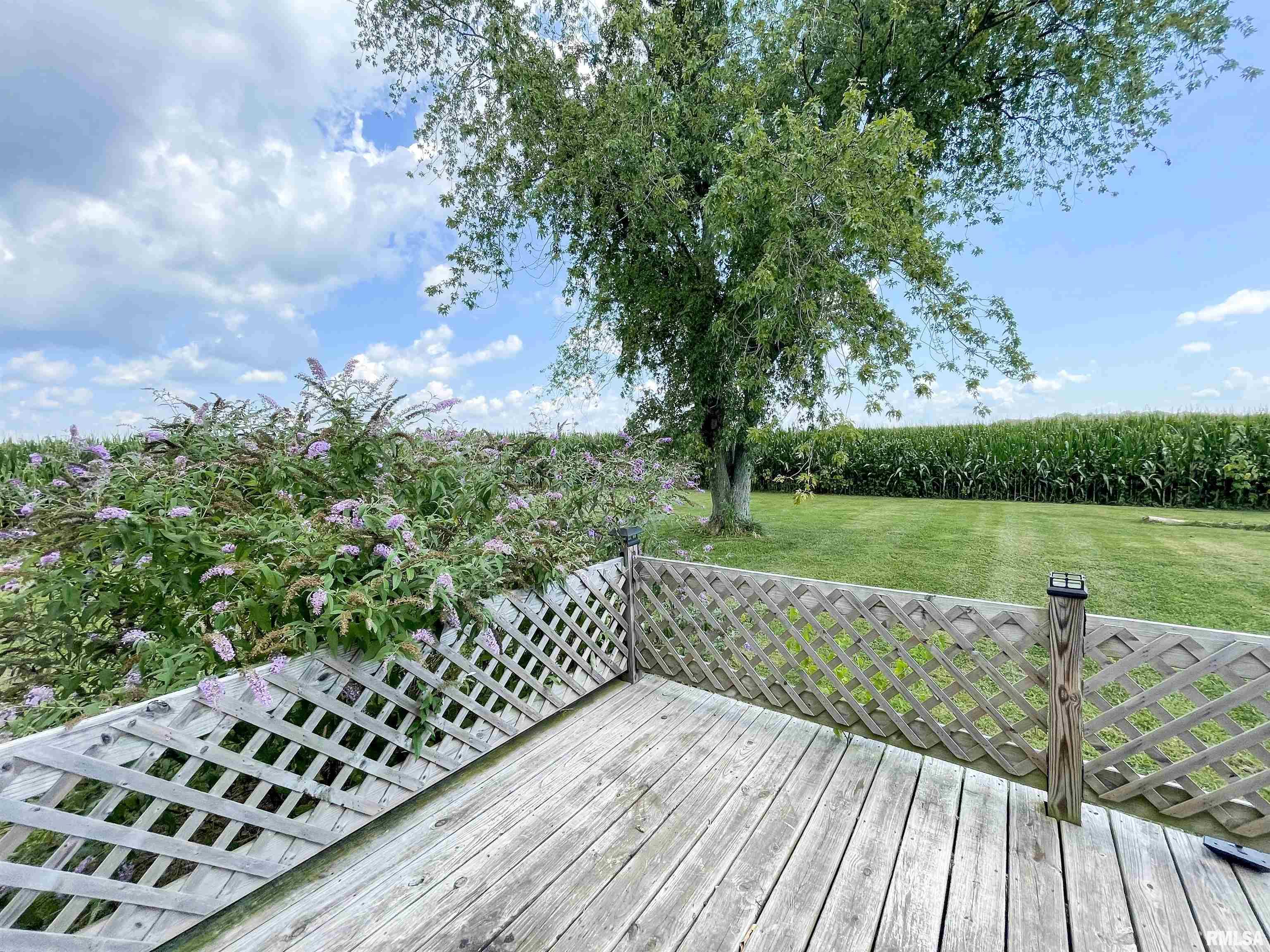 140 Sweetgum Road Du Quoin, IL 62832 - Photo 12 of 43 Gallery Image 12