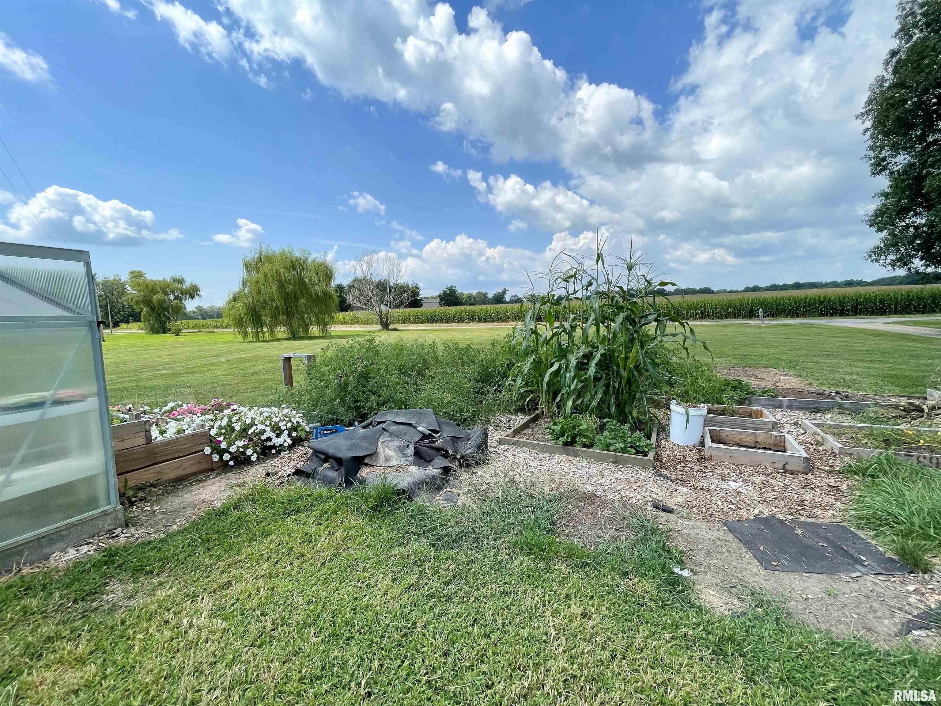 140 Sweetgum Road Du Quoin, IL 62832 - Photo 10 of 43 Gallery Image 10