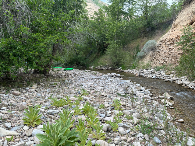 1141 South Oak Leaf Lane Springville, UT 84663 - Photo 143 of 147 shallow creek bed is just perfect for playing and wading