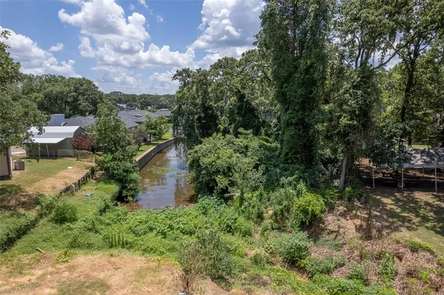 a view of a garden with plants and a bench