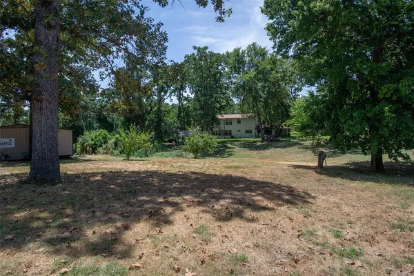 a view of a yard with a tree