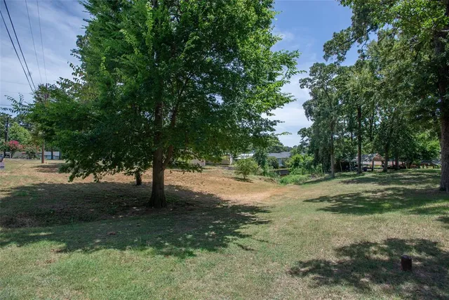 a view of backyard with green space