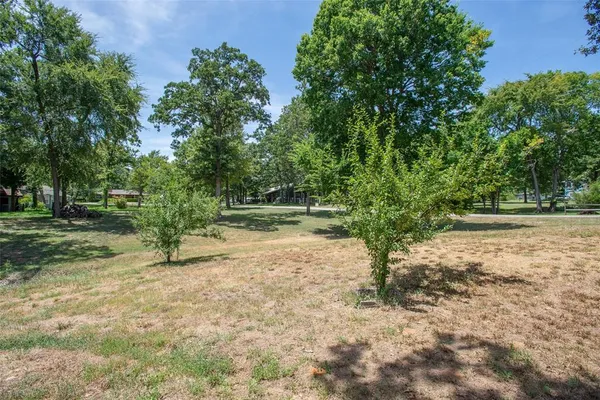a view of backyard with green space