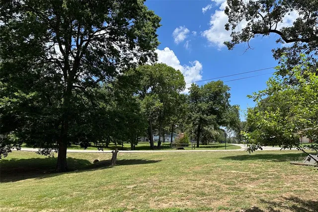 a view of a yard with a tree