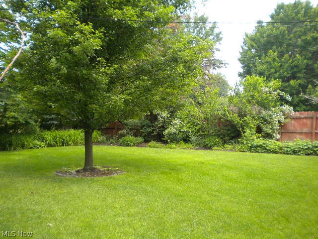 842 Quilliams Road Cleveland Heights, OH 44121 - Photo 14 of 14