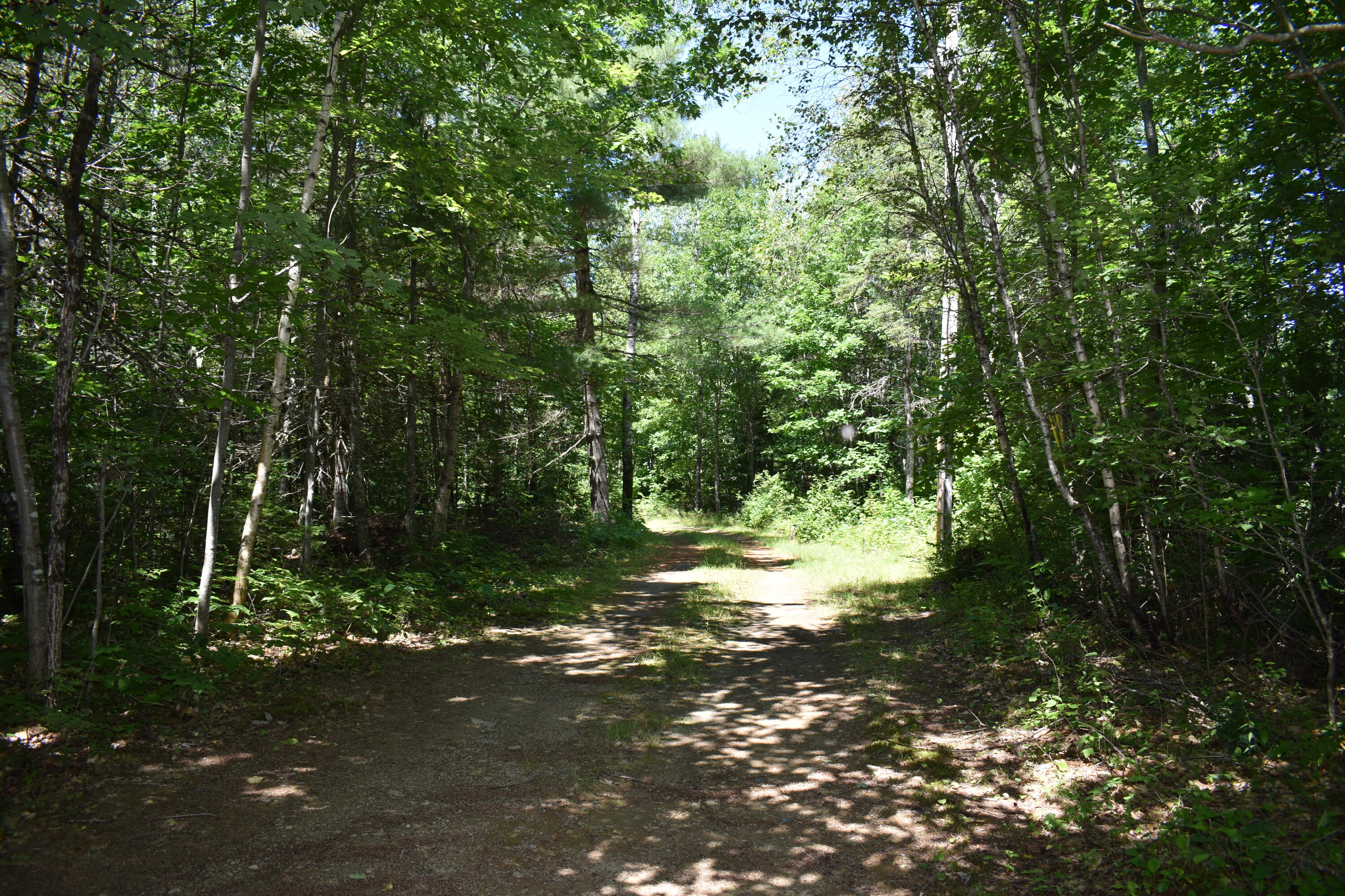 16 Map Road Lincoln, ME 04457 - Photo 28 of 28 DSC_0037