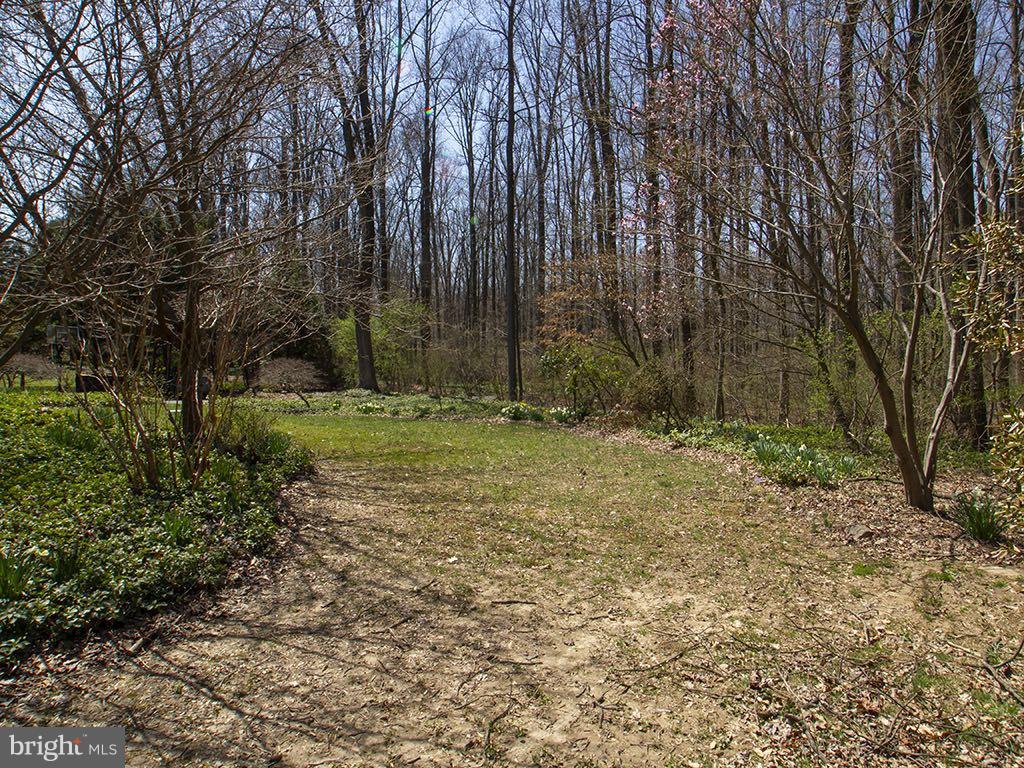 17207 Wesley Chapel Road Monkton, MD 21111 - Photo 10 of 30 Beautiful gardens and yard