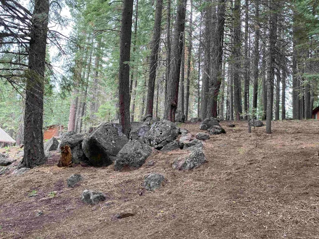 $28,000 | 128 Lake Almanor W Drive, Lake Almanor West, CA 96020