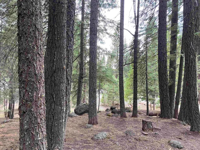 $28,000 | 128 Lake Almanor W Drive, Lake Almanor West, CA 96020