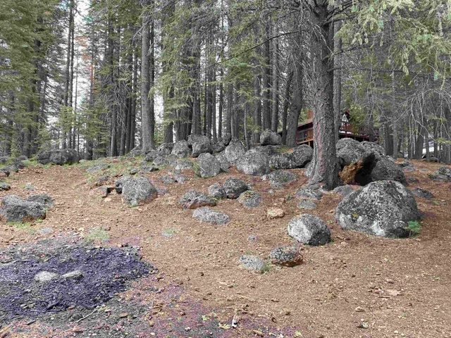 $28,000 | 128 Lake Almanor W Drive, Lake Almanor West, CA 96020