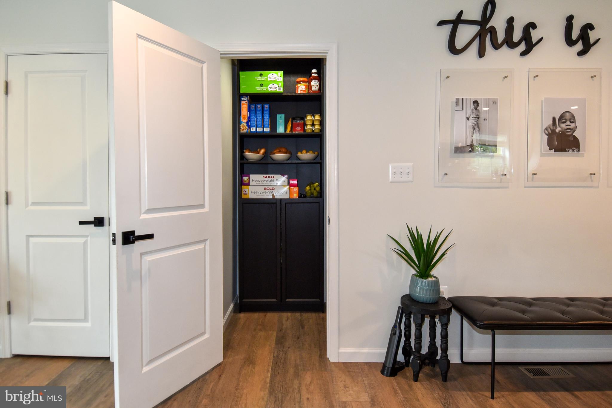 368 Winmeyer Avenue Odenton, MD 21113 - Photo 45 of 54 DOOR ENTRANCE TO LL CABINET FOR EXTRA STORAGE