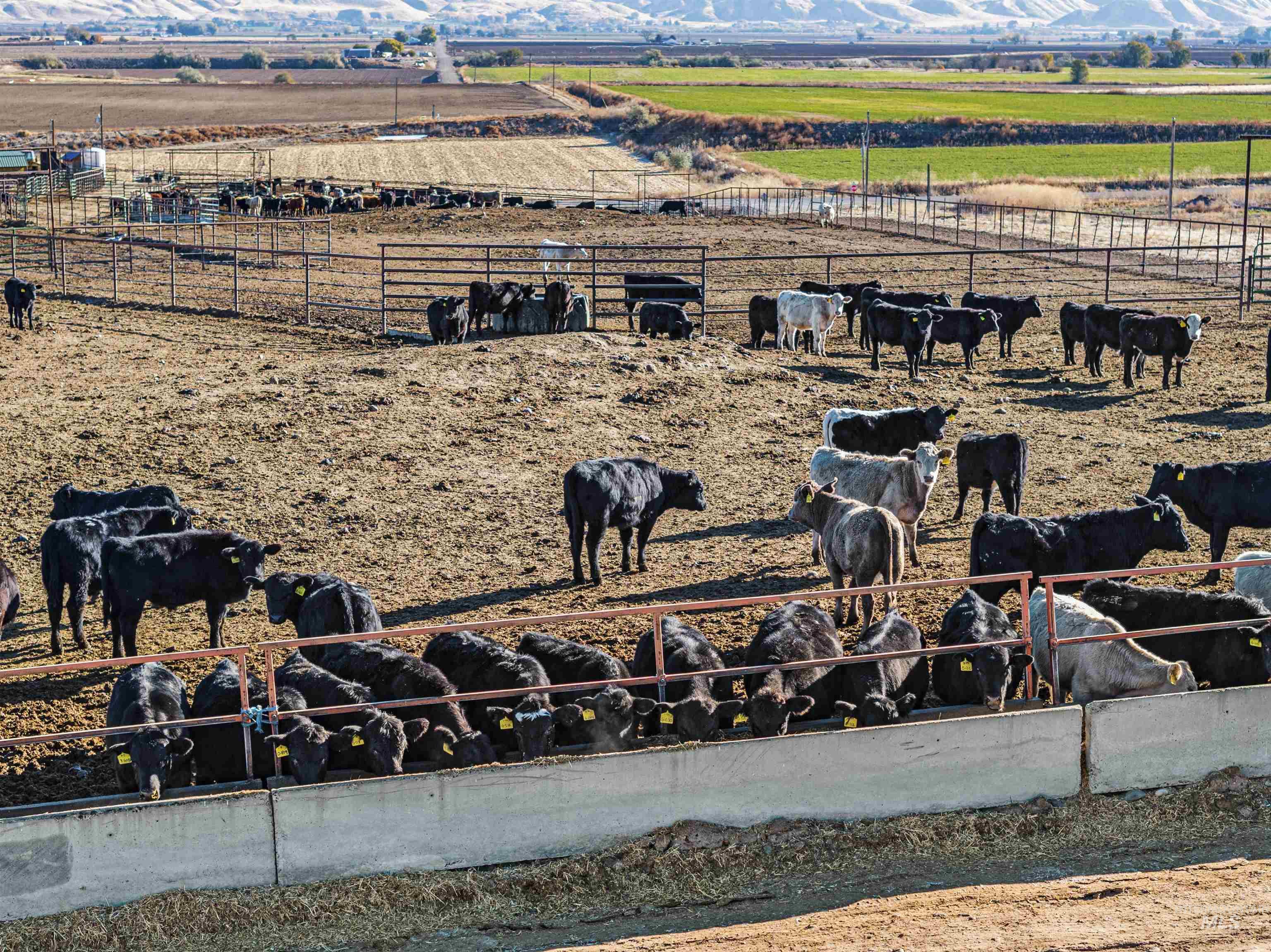 5109 Hyline Road Ontario, OR 97914 - Photo 37 of 48
