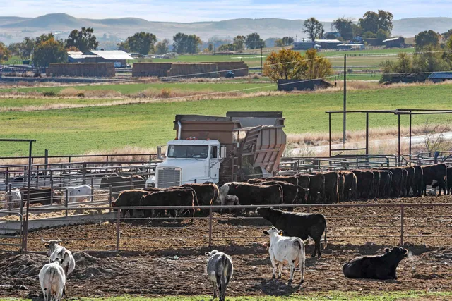 $1,200,000 | 5109 Hyline Road, Ontario, OR 97914