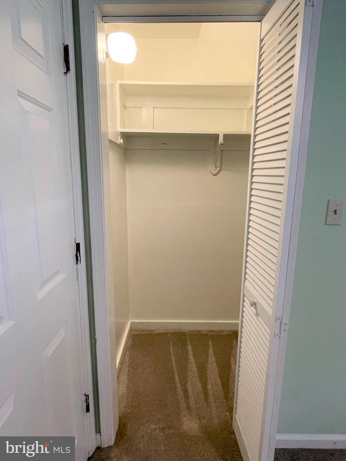 4504 Mine Road Fredericksburg, VA 22408 - Photo 44 of 55 3rd Bedroom Closet - Lower Level