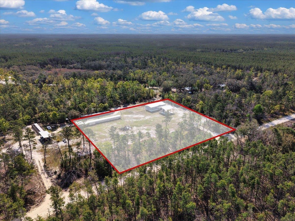 17600 Clearwater Creek Road Perry, FL 32348 - Photo 27 of 39