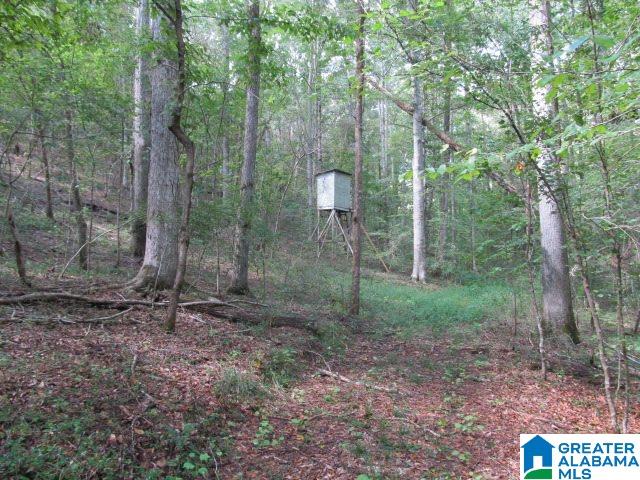 79 Highway 79, Unit 33 Cleveland, AL 35049 - Photo 22 of 32