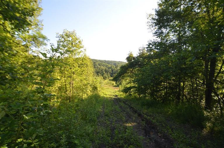 300 Farm Ridge Road Beattyville, KY 41311 - Photo 11 of 48 Photo 11