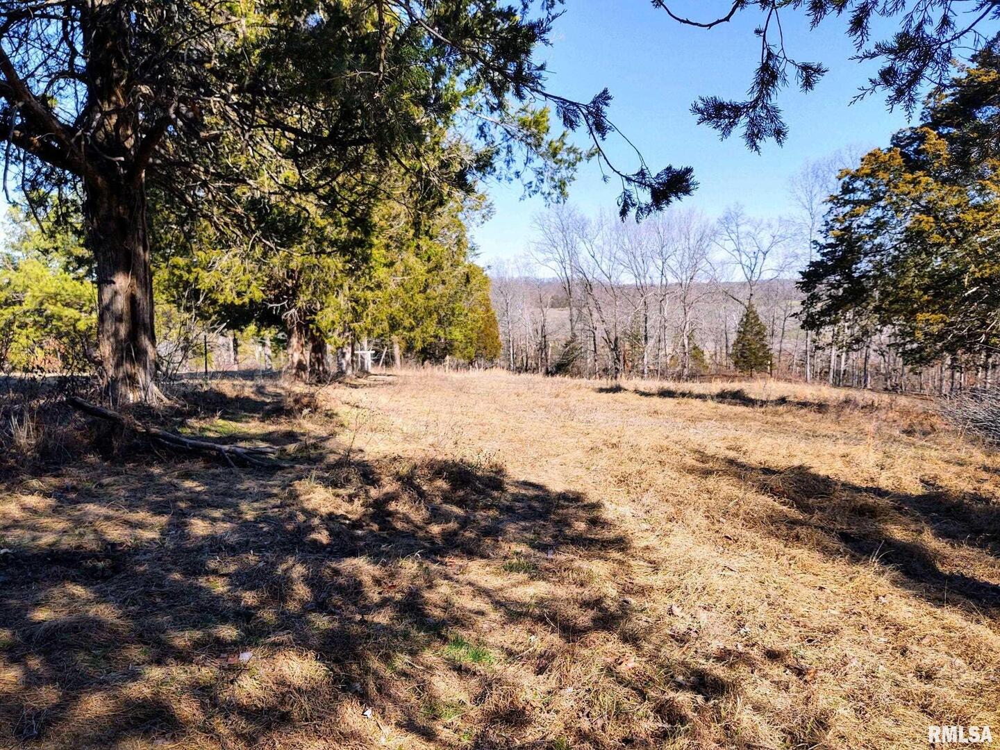 6270 Buncombe Road Buncombe, IL 62912 - Photo 39 of 71