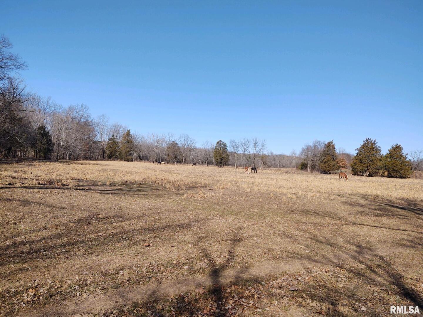 6270 Buncombe Road Buncombe, IL 62912 - Photo 42 of 71