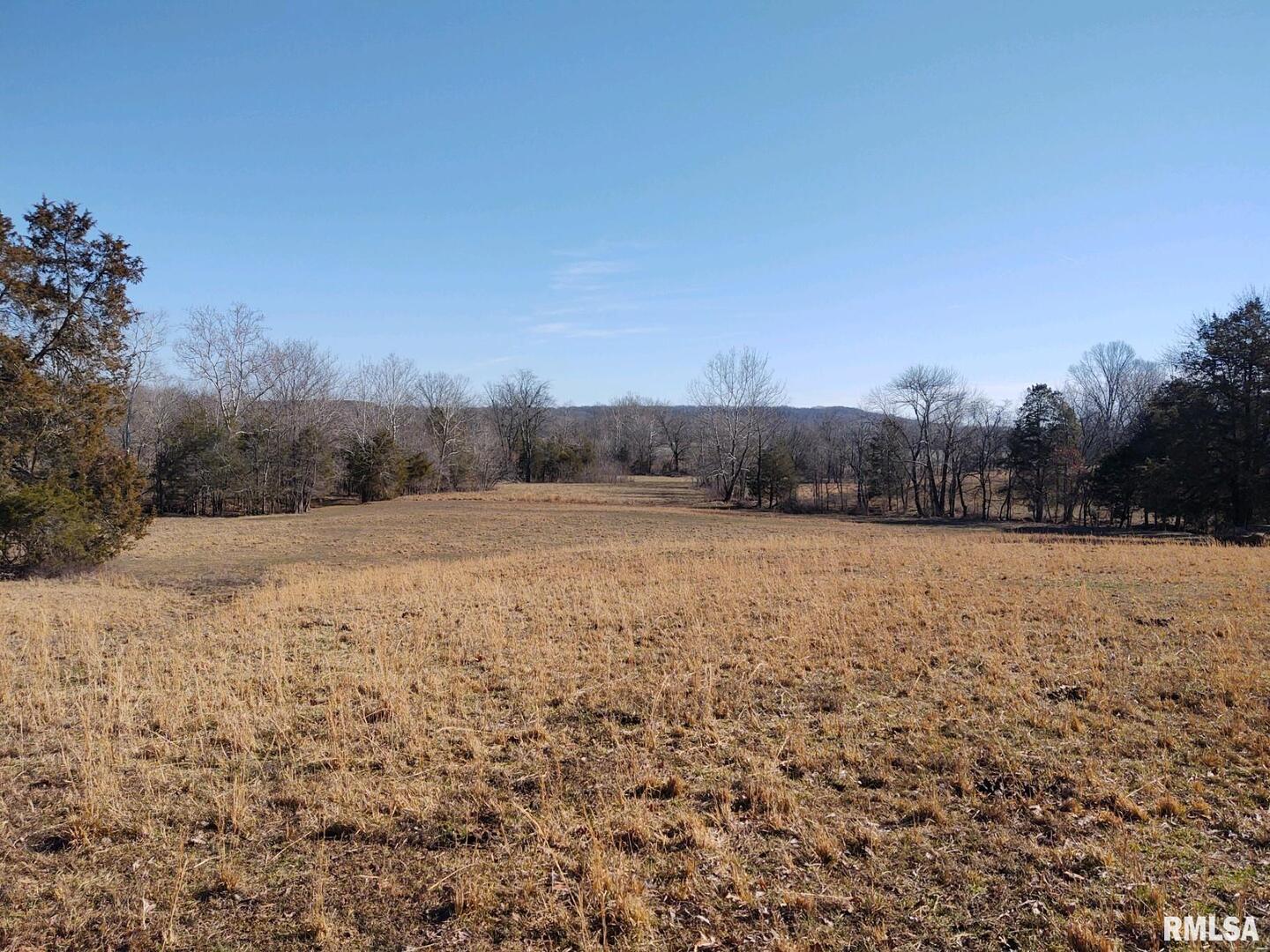 6270 Buncombe Road Buncombe, IL 62912 - Photo 43 of 71 a view of dirt field