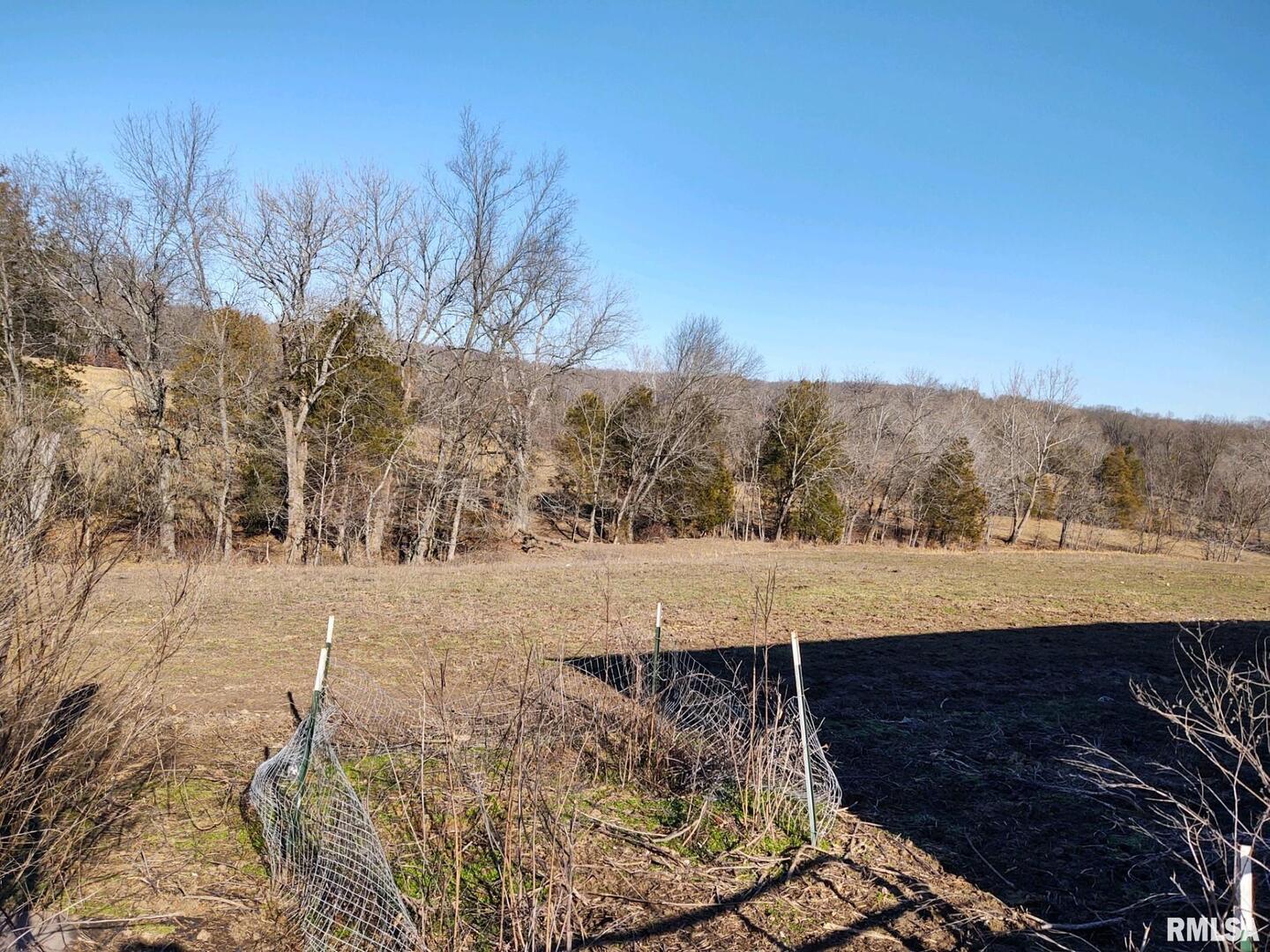 6270 Buncombe Road Buncombe, IL 62912 - Photo 44 of 71 a view of a yard with mountain view