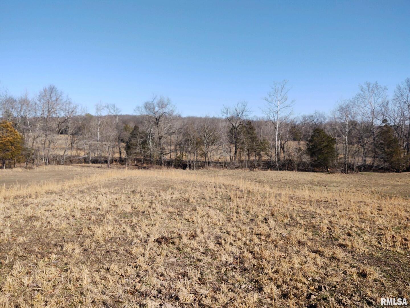 6270 Buncombe Road Buncombe, IL 62912 - Photo 45 of 71