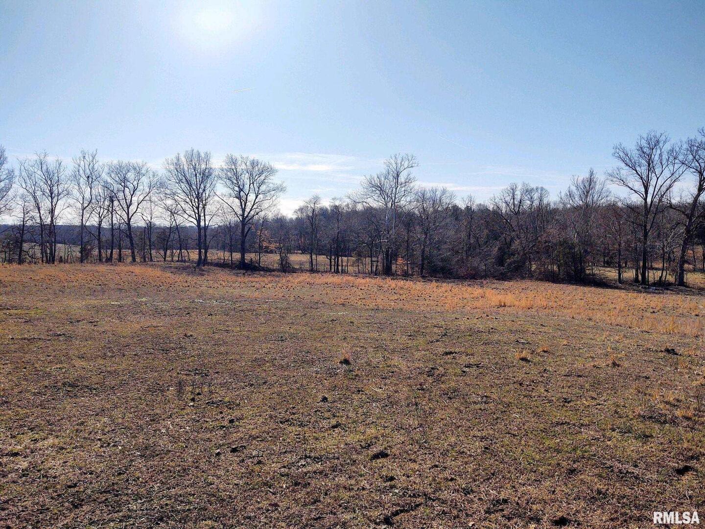 6270 Buncombe Road Buncombe, IL 62912 - Photo 53 of 71 a view of dirt yard with a bench