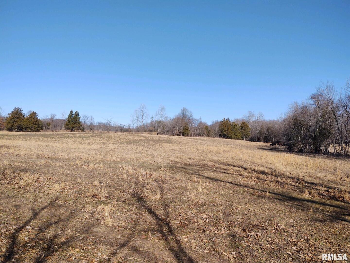 6270 Buncombe Road Buncombe, IL 62912 - Photo 56 of 71 a view of a field with trees in background