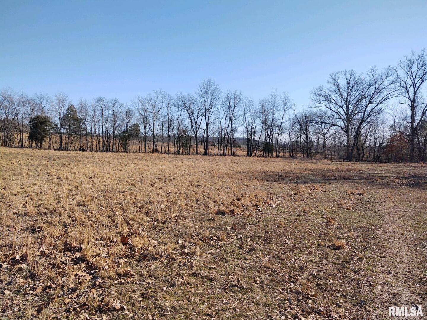 6270 Buncombe Road Buncombe, IL 62912 - Photo 57 of 71 a view of dirt yard with a large tree