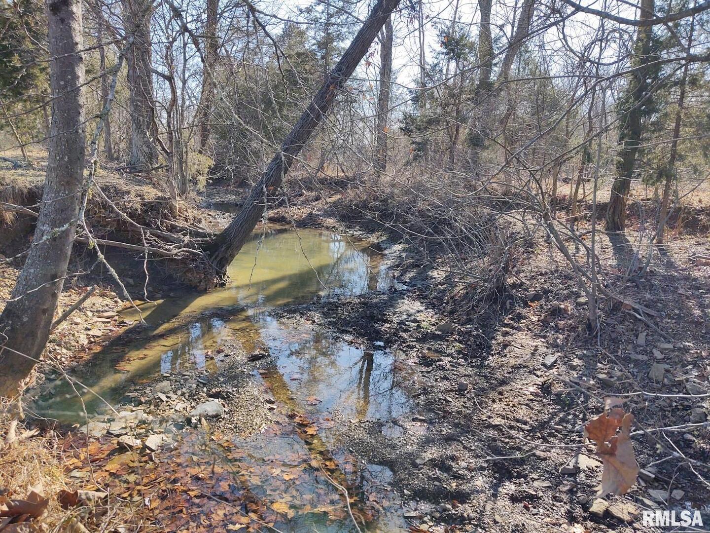 6270 Buncombe Road Buncombe, IL 62912 - Photo 58 of 71