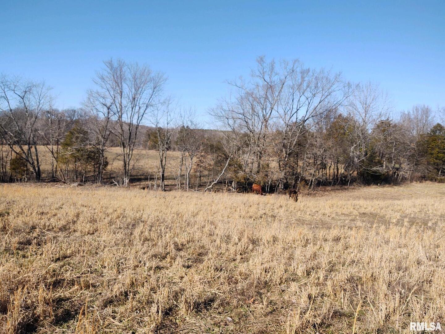 6270 Buncombe Road Buncombe, IL 62912 - Photo 61 of 71