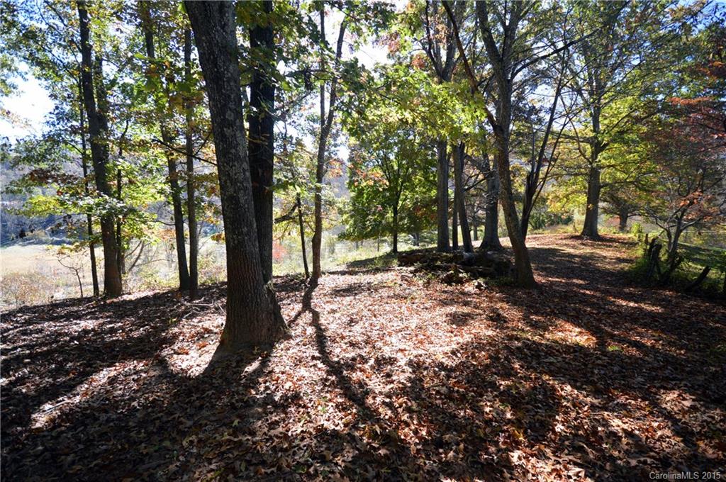 0 Wrights Ridge Waynesville, NC 28786 - Photo 11 of 16 Gallery Image 11