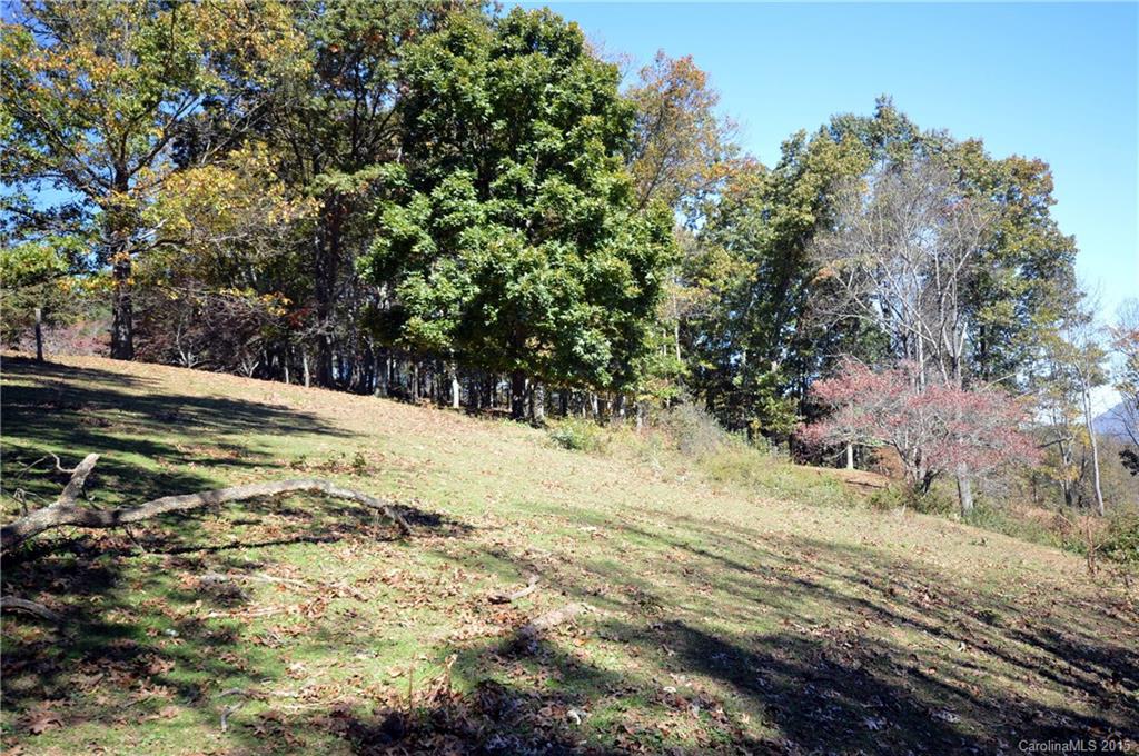 0 Wrights Ridge Waynesville, NC 28786 - Photo 14 of 16 Gallery Image 14