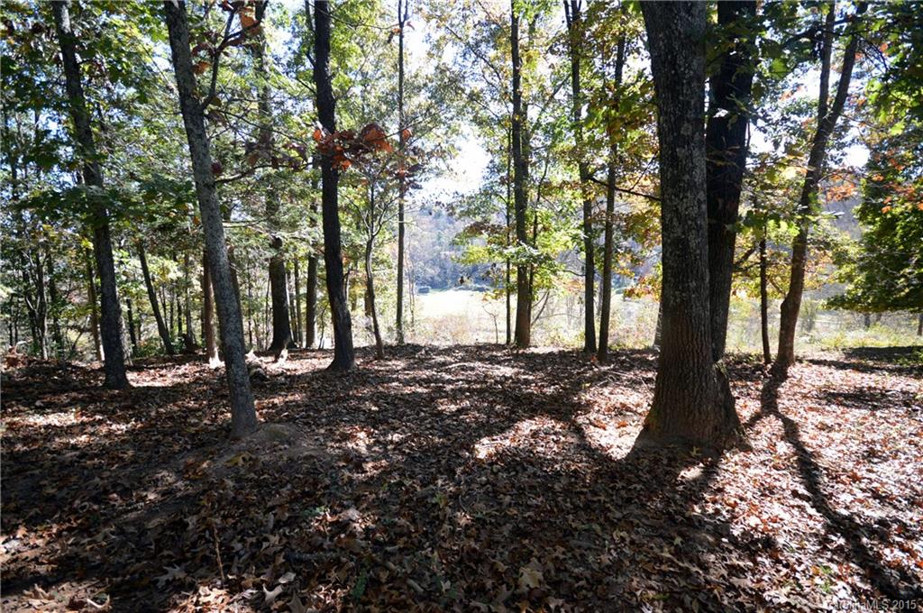 0 Wrights Ridge Waynesville, NC 28786 - Photo 7 of 16 Gallery Image 7