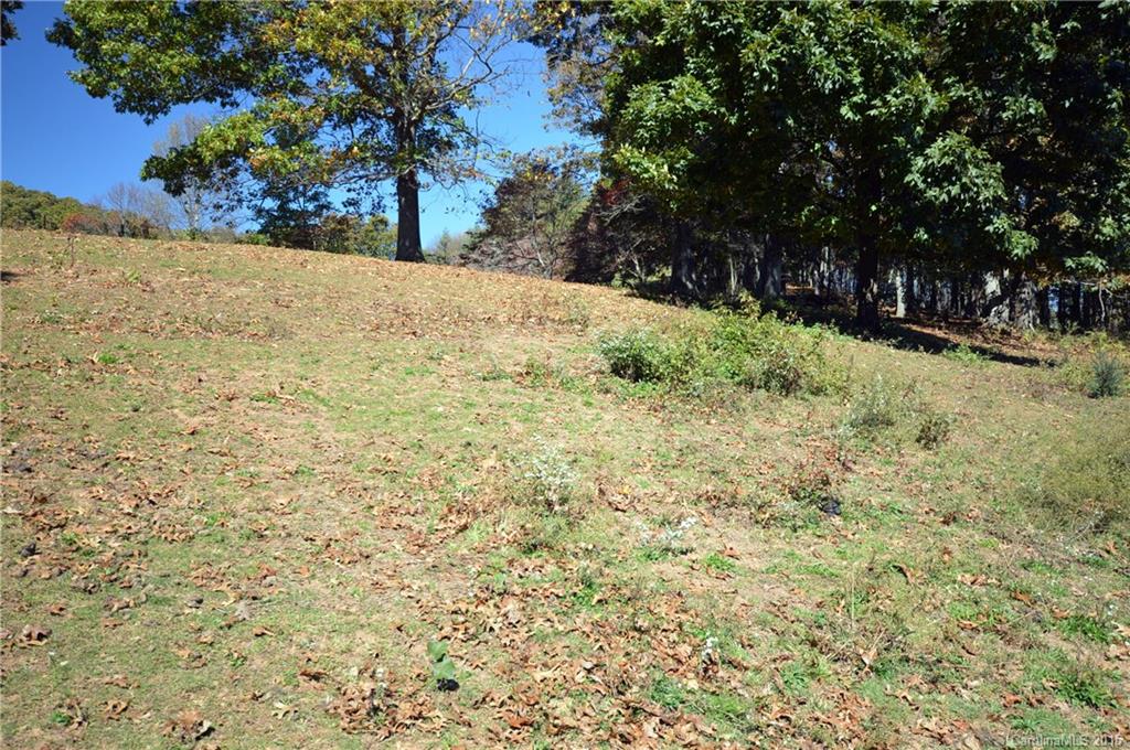 0 Wrights Ridge Waynesville, NC 28786 - Photo 8 of 16 Gallery Image 8