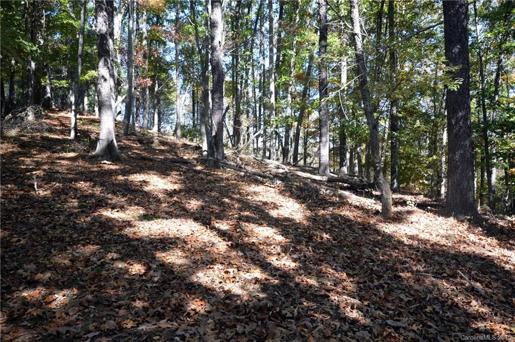 0 Wrights Ridge Waynesville, NC 28786 - Photo 9 of 16 Gallery Image 9