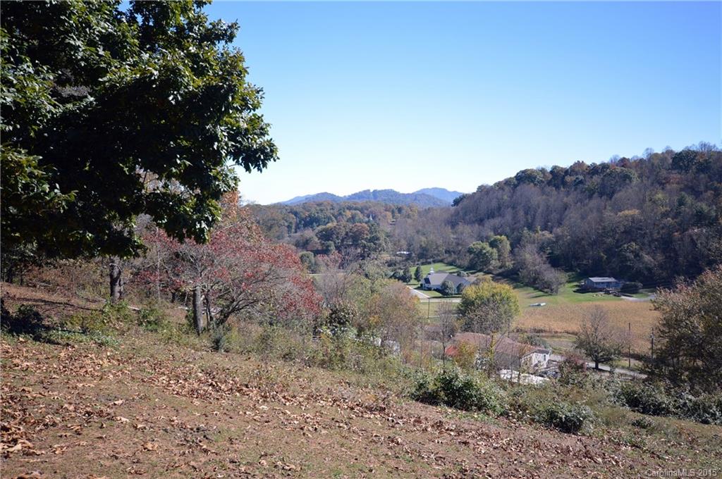 0 Wrights Ridge Waynesville, NC 28786 - Photo 10 of 16 Gallery Image 10