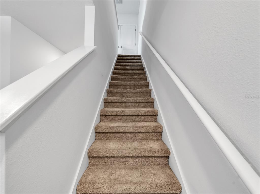 8763 Falling Blue Place Riverview, FL 33578 - Photo 11 of 25