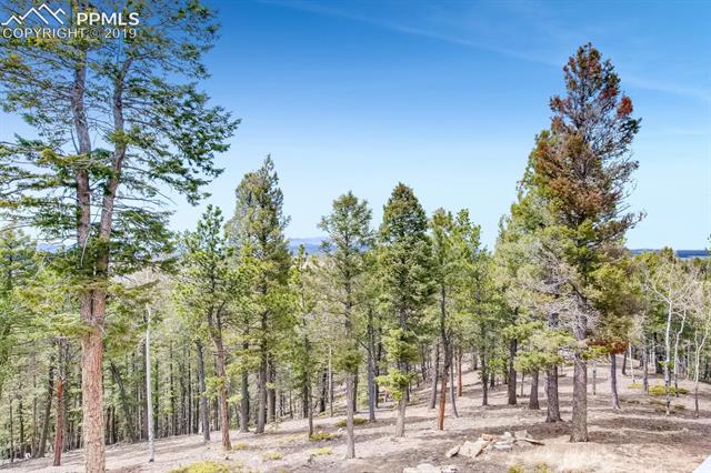 1655 Elk Ridge South Divide, CO 80814 - Photo 31 of 35