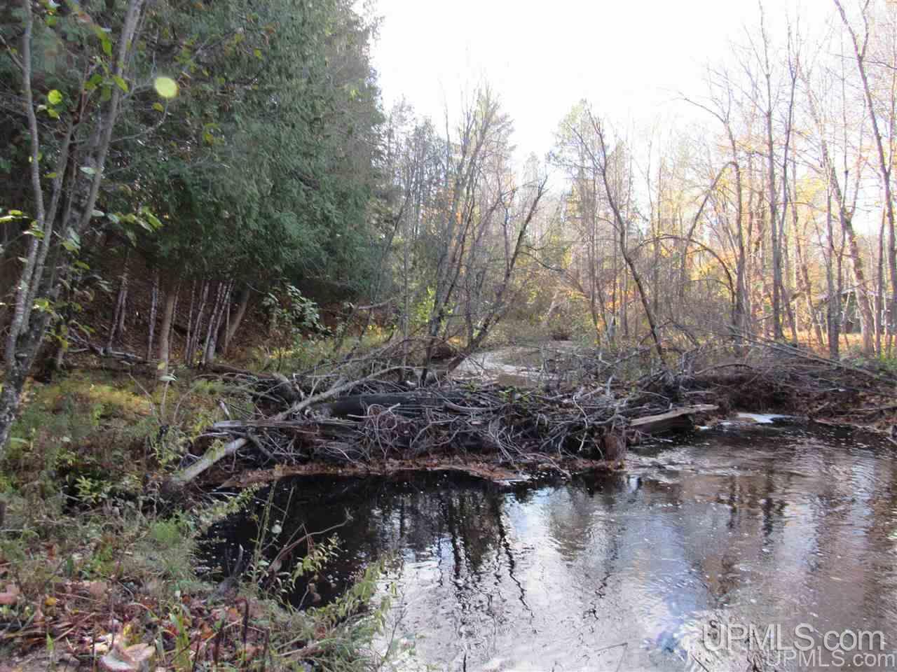 Lot 1 Sicotte Road Skanee, MI 49962 - Photo 3 of 23