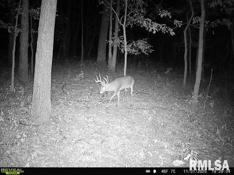Xxx Red Hls Lane Sumner, IL 62466 - Photo 45 of 75