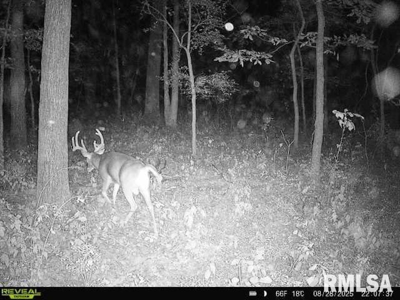 Xxx Red Hls Lane Sumner, IL 62466 - Photo 50 of 75