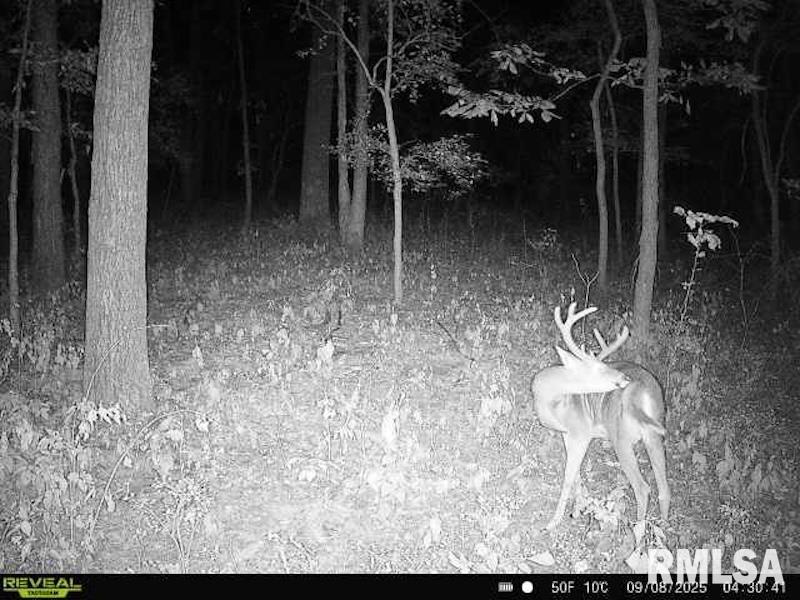 Xxx Red Hls Lane Sumner, IL 62466 - Photo 54 of 75